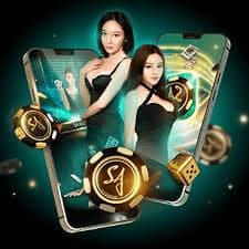fd77 login